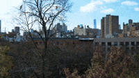 Manhattan