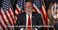Jan 6 Hearing GIF by GIPHY News