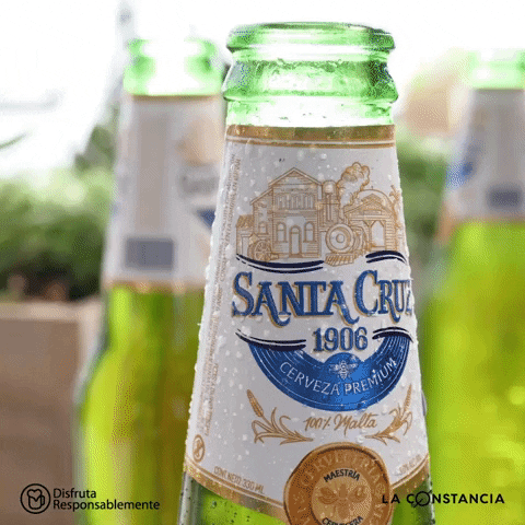 SantaCruz1906 beer cerveza bottle santa cruz GIF