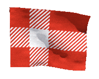 Birthday Flag Sticker by Arla Foods