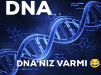Dna GIF