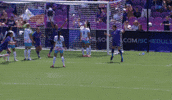 2025 GIF by National Women's Soccer League