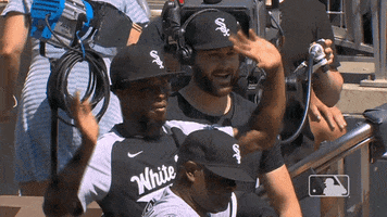 Waving Regular Season GIF by MLB