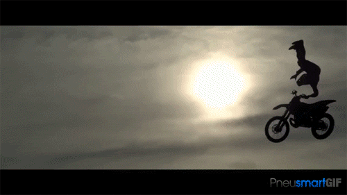 GIF by Okkult Motion Pictures