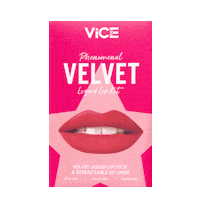 Beauty Makeup Sticker by Vice Cosmetics