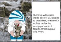 Wolf Gnome GIF