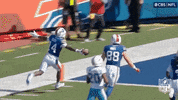 National Football League GIF by NFL