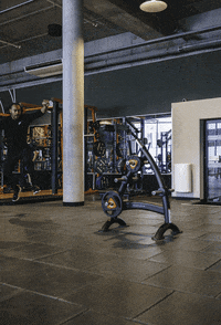 Basic Fit Sport GIF