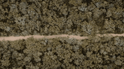 Beach Running GIF by nettwerkmusic