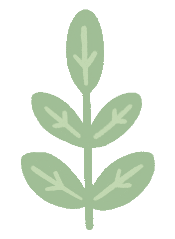cremefleurs giphyupload green aesthetic plant Sticker