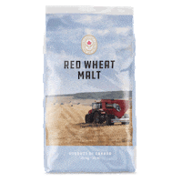 Wheat Beer Sticker by Country Malt Group