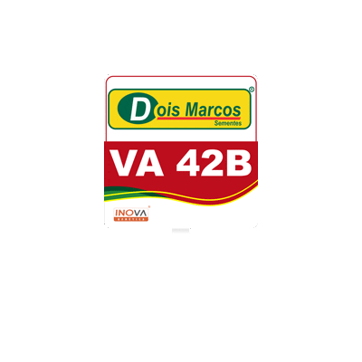 wdoismarcos giphyupload inova wehrmann dois marcos Sticker