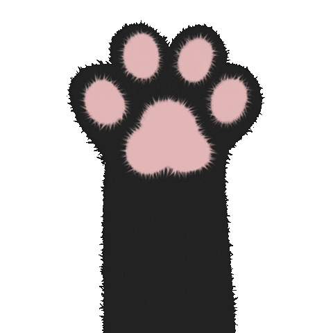 amorilustra giphyupload cat cats pet Sticker