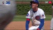 Chicago Cubs Thumbs Up GIF by MLB