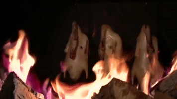 chinese food zhong guo cai GIF