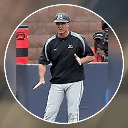 joesottolano giphygifmaker giphyattribution GIF