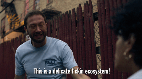Angry Ebon Moss-Bachrach GIF by The Bear