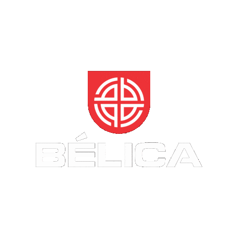 belicamilitar giphyupload Sticker