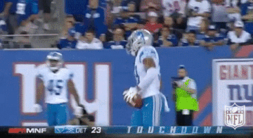 Detroit Lions Football GIF by NFL