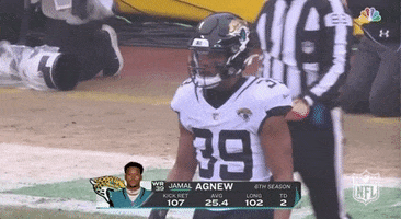 Nfl Playoffs Football GIF by NFL