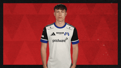 Hamburger Sv Football GIF by Bundesliga