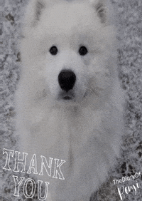 Thanks Gracias GIF