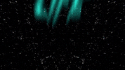 Torpedo GIF by Feeder