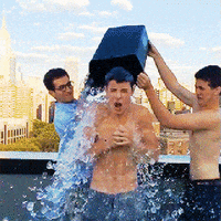 shawn mendes abs GIF