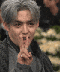 Met Gala Seungchol GIF
