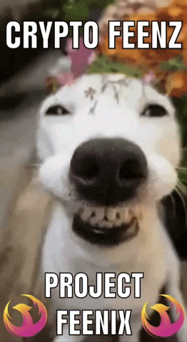 projectfeenix moon lfg feen feens GIF