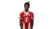 Fc Bayern Football Sticker by Bundesliga