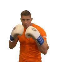nocnsf sport rico nsw teamnl Sticker