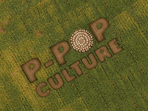 India Dancing GIF by Karan Aujla