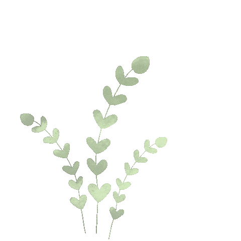 Plant Leaves Sticker
