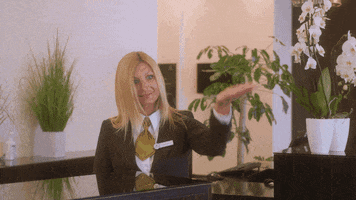 PortorozinPiran vacation hotel come here hurry up GIF