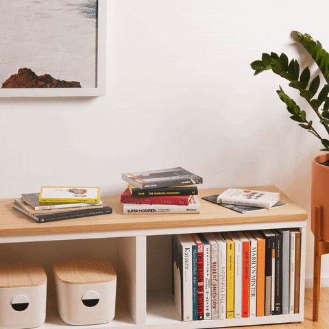 patternbrands_ giphyupload books interior design organization GIF