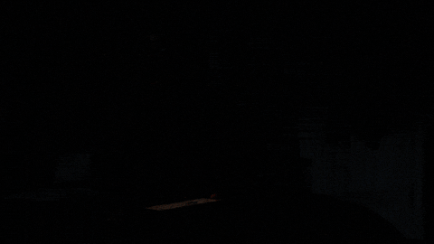 Scary Movie Halloween GIF by NETFLIX