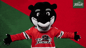 Hockey Mascot GIF by Augsburger Panther Eishockey GmbH