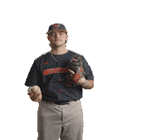 Wcsubaseball Sticker by WCSU