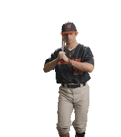 Wcsubaseball Sticker by WCSU