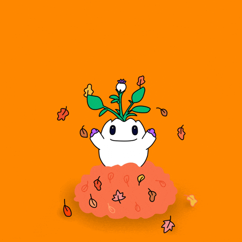 Its Fall GIF by Magic Eden