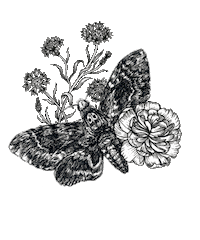 The Garden Sticker by Doubleday Books