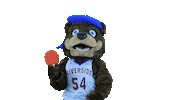 Ping Pong Sticker by UCRSRC