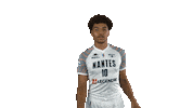 Basketball Nbh Sticker by Nantes Basket Hermine