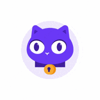 ProtonAG angry annoyed anger privacy GIF