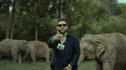 Music Video India GIF by Karan Aujla