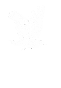 Flying Wing Man Sticker by VisualTimmy Illustration