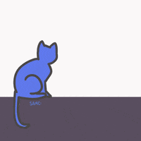 samconcklin cat cartoon cats kitten GIF