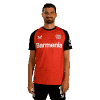 Bayer 04 Love Sticker by Bayer 04 Leverkusen