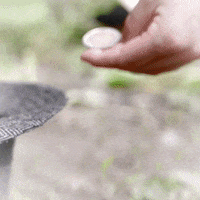 gautiersansh like guitar facebook coin GIF